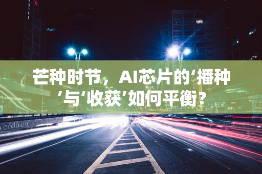 芒种时节，AI芯片的‘播种’与‘收获’如何平衡？