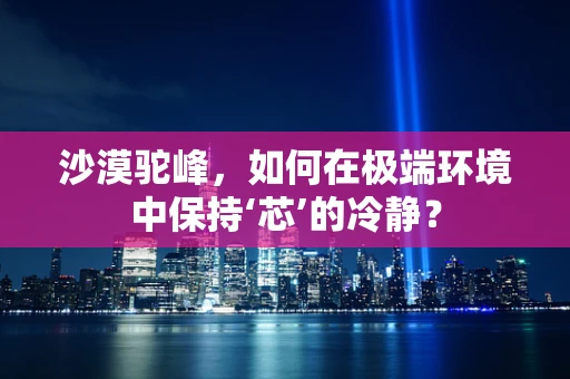 沙漠驼峰，如何在极端环境中保持‘芯’的冷静？