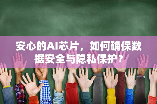 安心的AI芯片，如何确保数据安全与隐私保护？