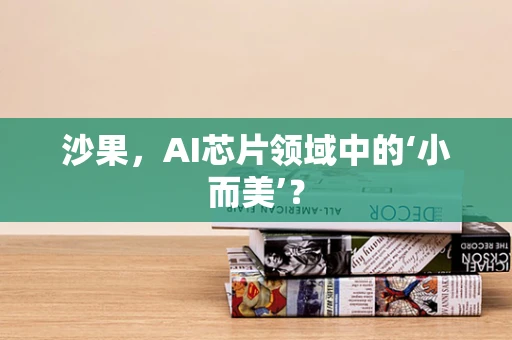 沙果，AI芯片领域中的‘小而美’？