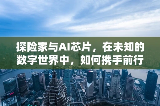 探险家与AI芯片，在未知的数字世界中，如何携手前行？