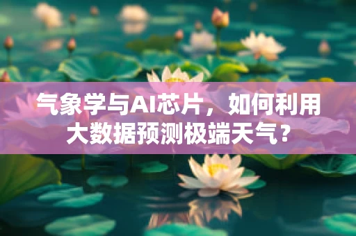 气象学与AI芯片，如何利用大数据预测极端天气？