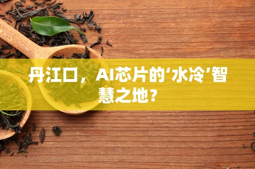 丹江口，AI芯片的‘水冷’智慧之地？