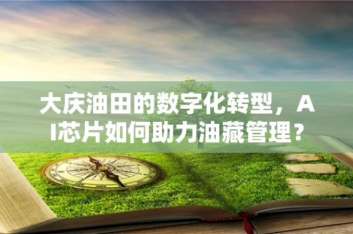 大庆油田的数字化转型，AI芯片如何助力油藏管理？