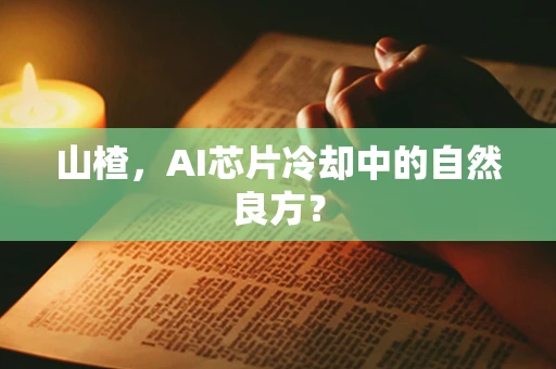 山楂，AI芯片冷却中的自然良方？