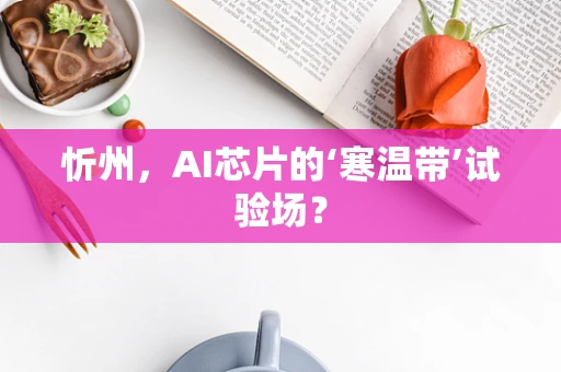 忻州，AI芯片的‘寒温带’试验场？