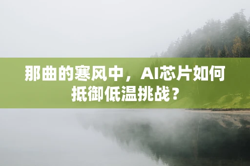 那曲的寒风中，AI芯片如何抵御低温挑战？