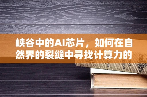 峡谷中的AI芯片，如何在自然界的裂缝中寻找计算力的新蓝海？