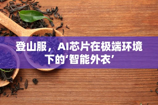 登山服，AI芯片在极端环境下的‘智能外衣’