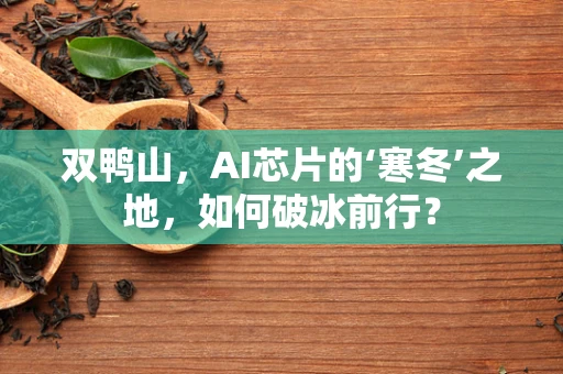 双鸭山，AI芯片的‘寒冬’之地，如何破冰前行？