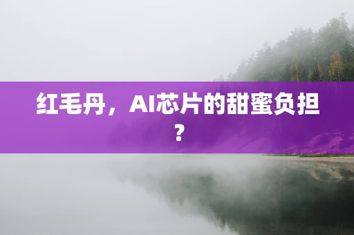 红毛丹，AI芯片的甜蜜负担？