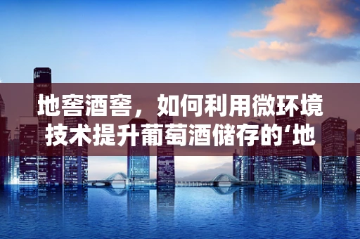 地窖酒窖，如何利用微环境技术提升葡萄酒储存的‘地下艺术’？