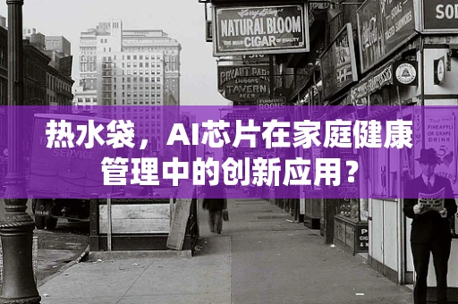 热水袋，AI芯片在家庭健康管理中的创新应用？