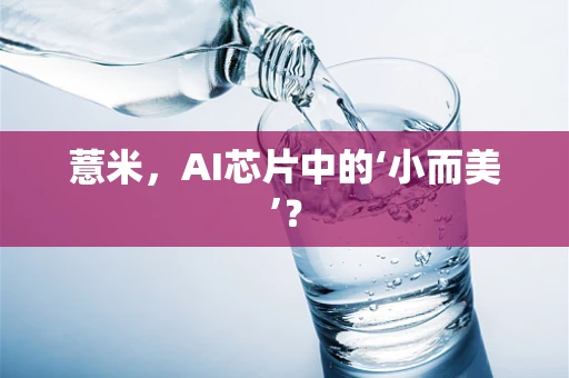 薏米，AI芯片中的‘小而美’？