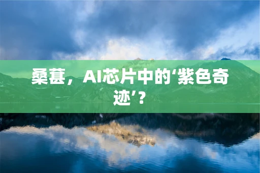 桑葚，AI芯片中的‘紫色奇迹’？