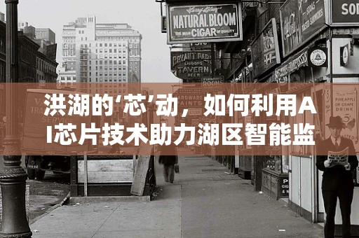 洪湖的‘芯’动，如何利用AI芯片技术助力湖区智能监控与环境保护？