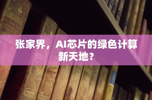 张家界，AI芯片的绿色计算新天地？