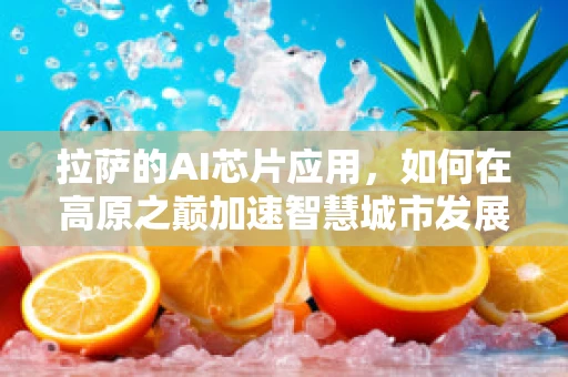 拉萨的AI芯片应用，如何在高原之巅加速智慧城市发展？