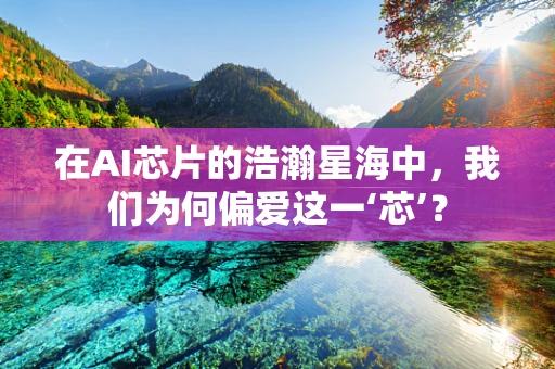 在AI芯片的浩瀚星海中，我们为何偏爱这一‘芯’？