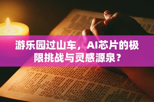 游乐园过山车，AI芯片的极限挑战与灵感源泉？