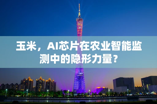 玉米，AI芯片在农业智能监测中的隐形力量？