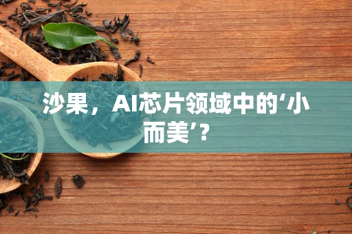 沙果，AI芯片领域中的‘小而美’？