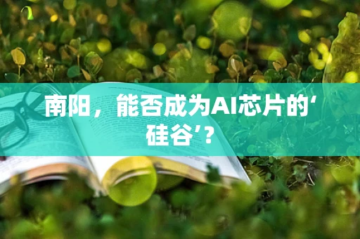 南阳，能否成为AI芯片的‘硅谷’？