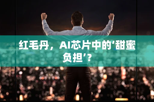 红毛丹，AI芯片中的‘甜蜜负担’？